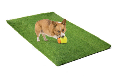 Mrs Pooch Puppy Training Grass 100cm x 100cm