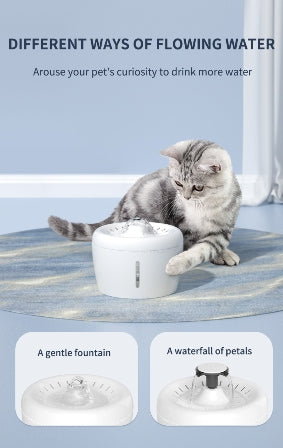 Oso Pet Water Fountain - Rex