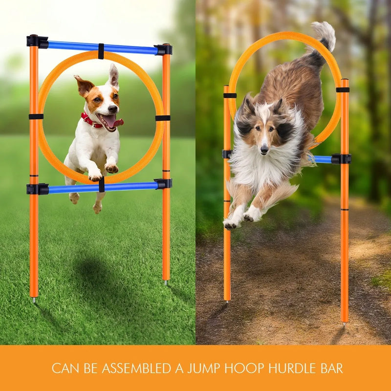 Dog Hoop Jump Training Set - Rex