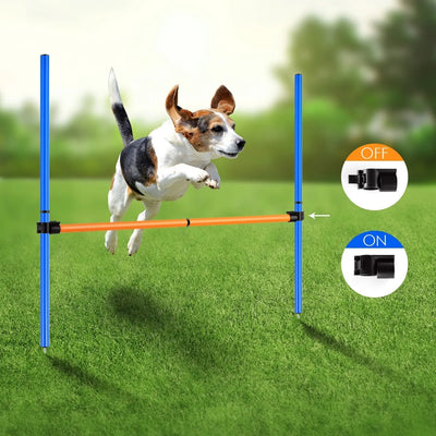 Dog Jump Hurdle Training Set - Rex