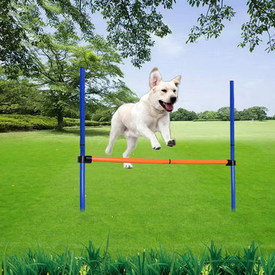 Dog Jump Hurdle Training Set - Rex