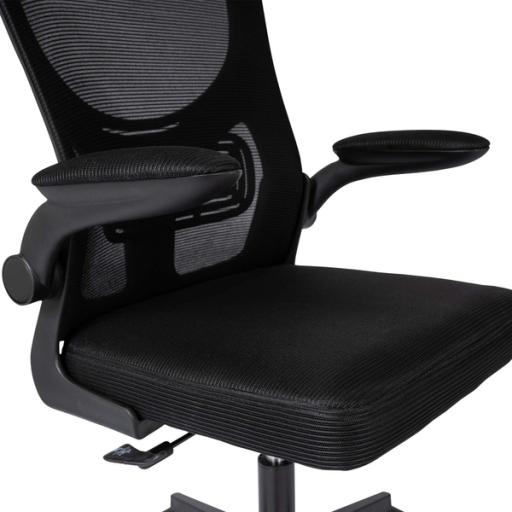Office Chair - Fine Living