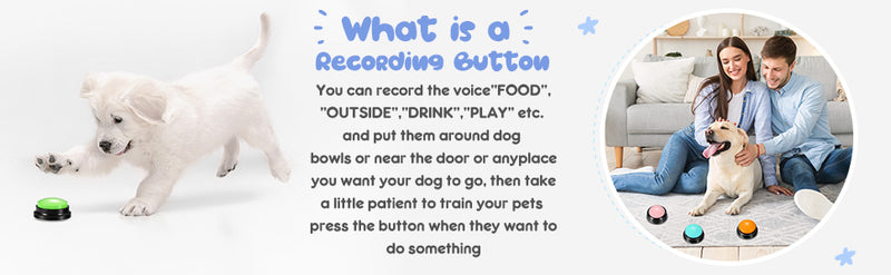 Pet Training Buzzer Button - Rex