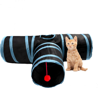 Rex - Cat Tunnel