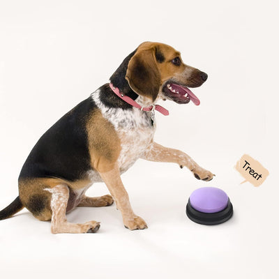 Pet Training Buzzer Button - Rex