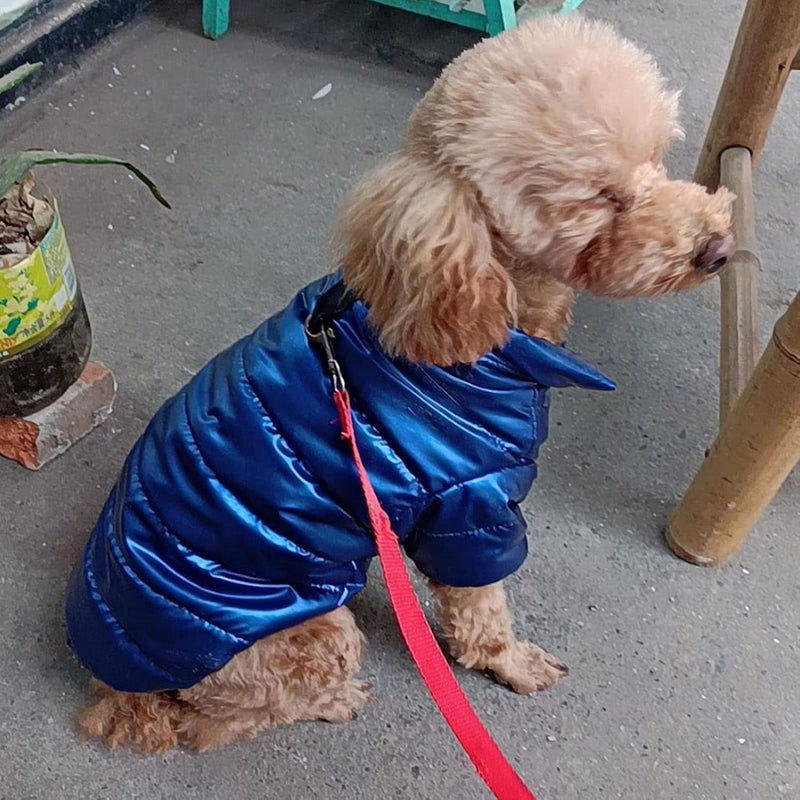 Snoozle Dog Jacket - Medium - Blue - Rex