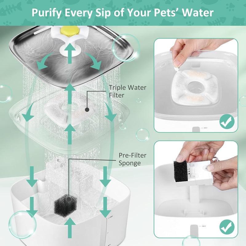 Coco Pet Water Fountain - Rex