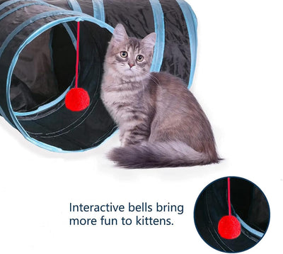 Rex - Cat Tunnel