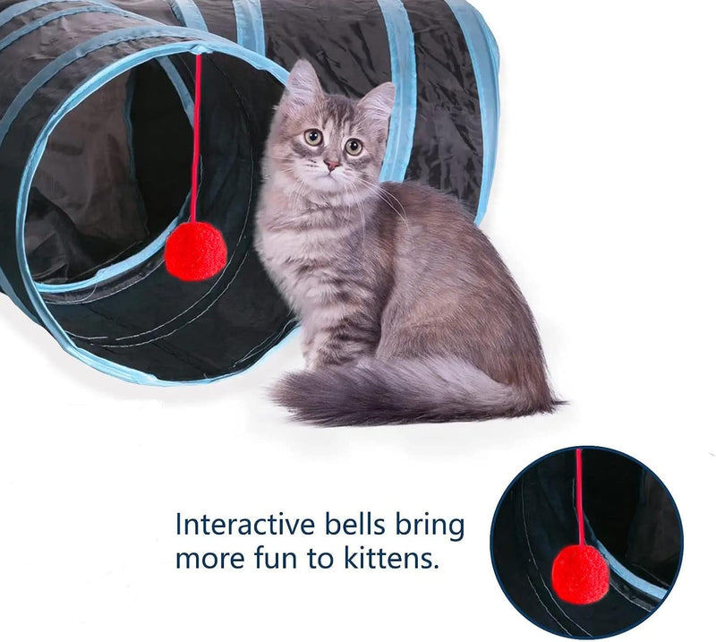 Rex - Cat Tunnel