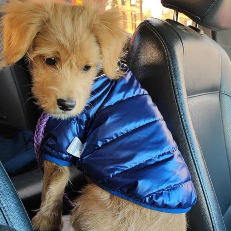 Snoozle Dog Jacket - Medium - Blue - Rex