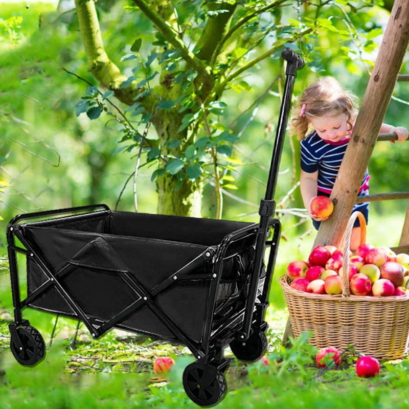 Multiuse Foldable Cart - Black