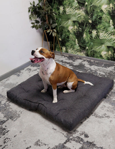SnugPaws Dog Bed - 120cm