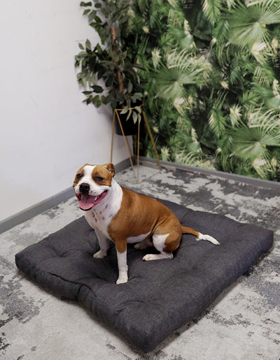 SnugPaws Dog Bed - 120cm