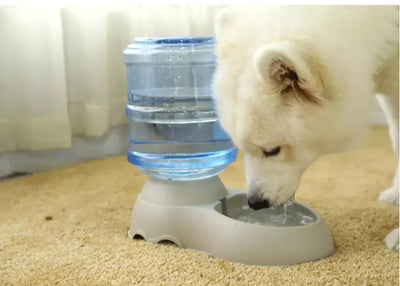 Self-Dispensing Pet Water Bowl - Rex - Grey