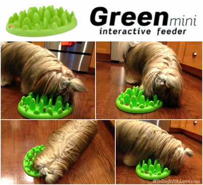 Rex - Slow Feeder - Green