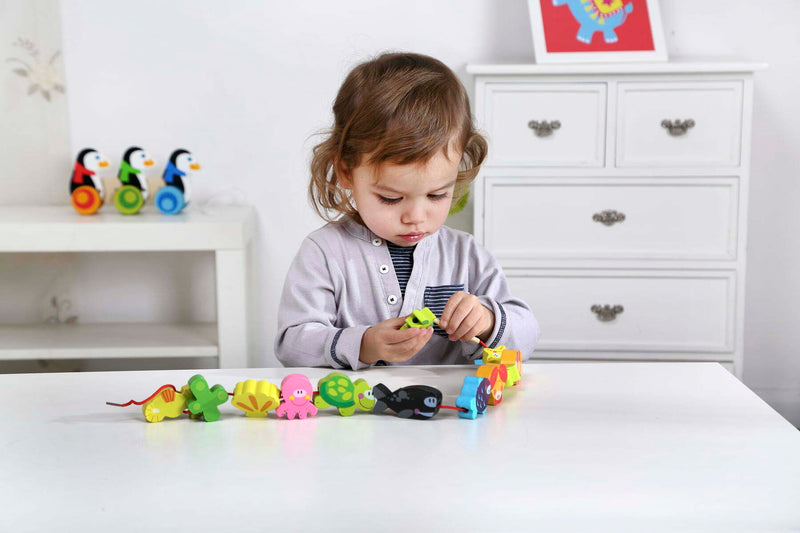 Nuovo  Wooden Lacing Blocks - Marine