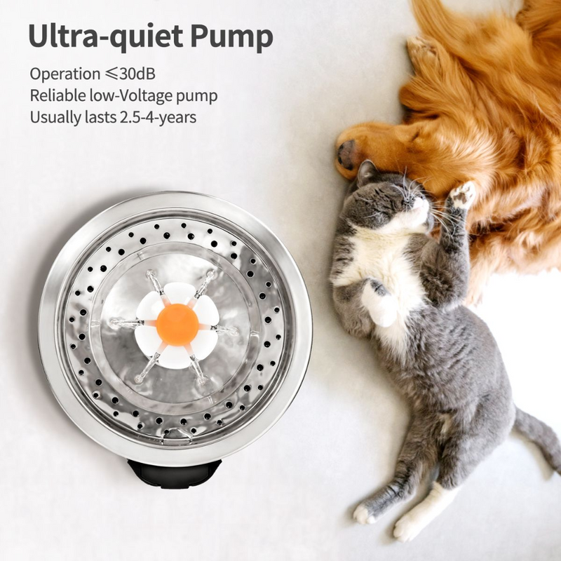 Baxter Pet Water Fountain - Rex