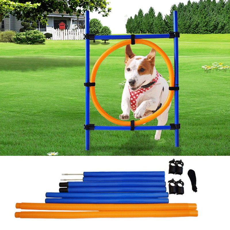 Dog Hoop Jump Training Set - Rex