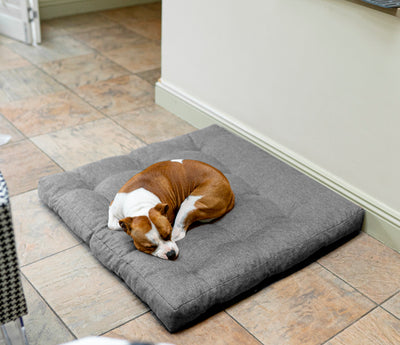 Snugpaws Winter Dog Bed - 90cm