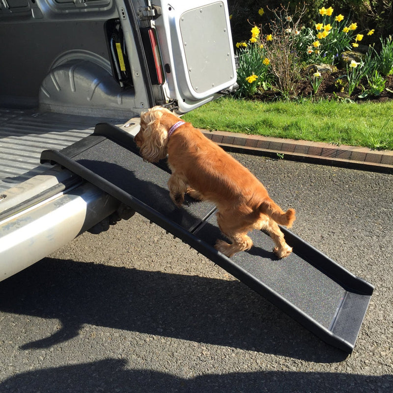 Foldable Plastic Dog Ramp - Rex