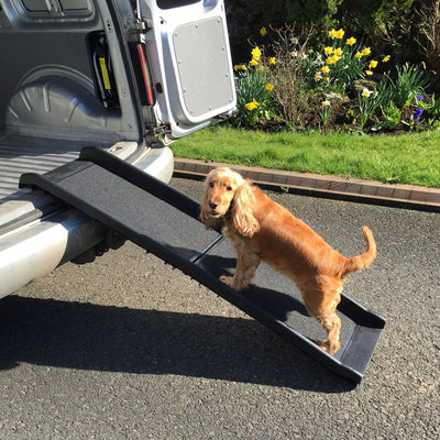 Foldable Plastic Dog Ramp - Rex