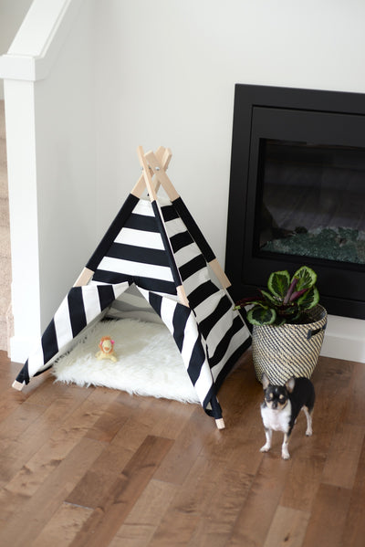 Rex-Pyramid comfy pet bed
