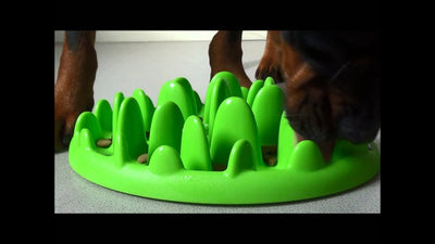 Rex - Slow Feeder - Green