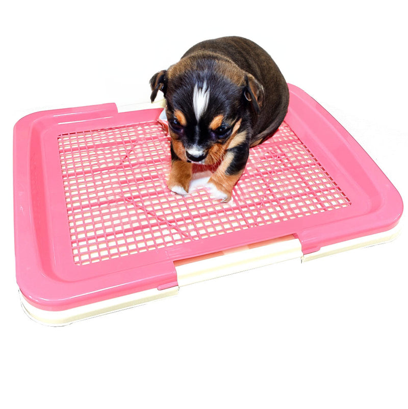 Rex Dog Potty Trainer Medium Pink