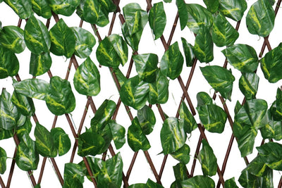 Fine Living Montreal Trellis - 40cm