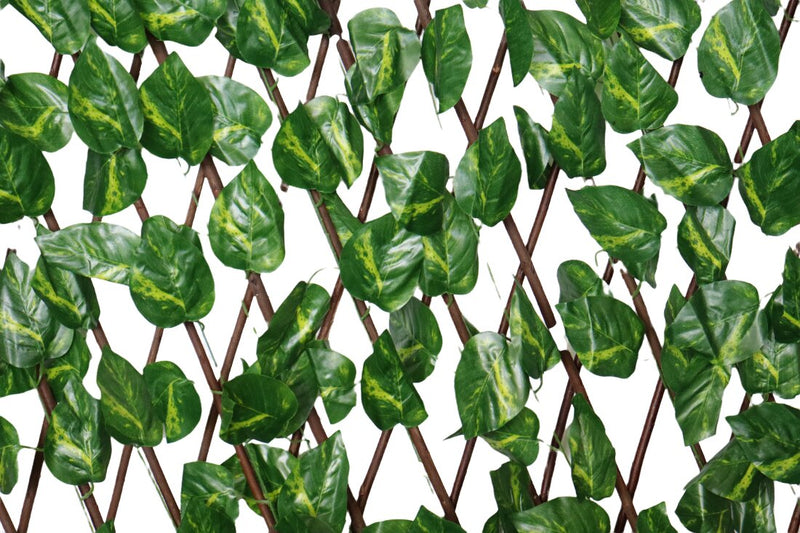 Fine Living Montreal Trellis - 40cm