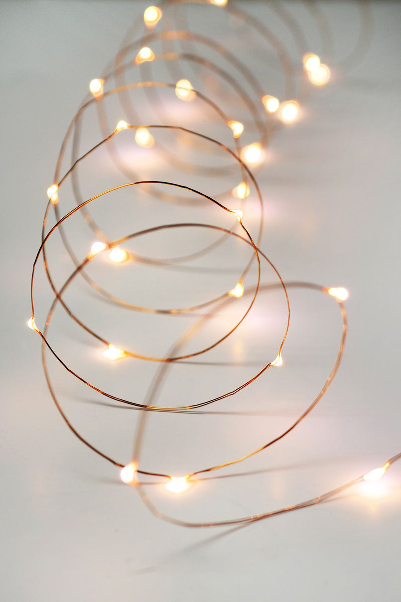 Copper String LED Lights - 10M