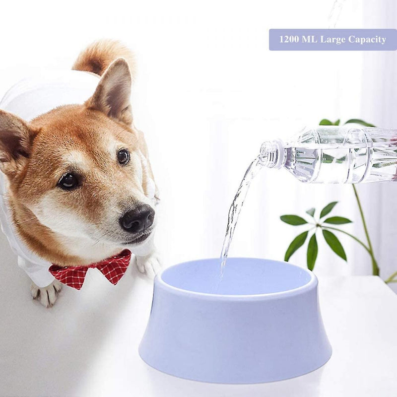 Rex No Spill Pet Water Fountain Bowl - Blue