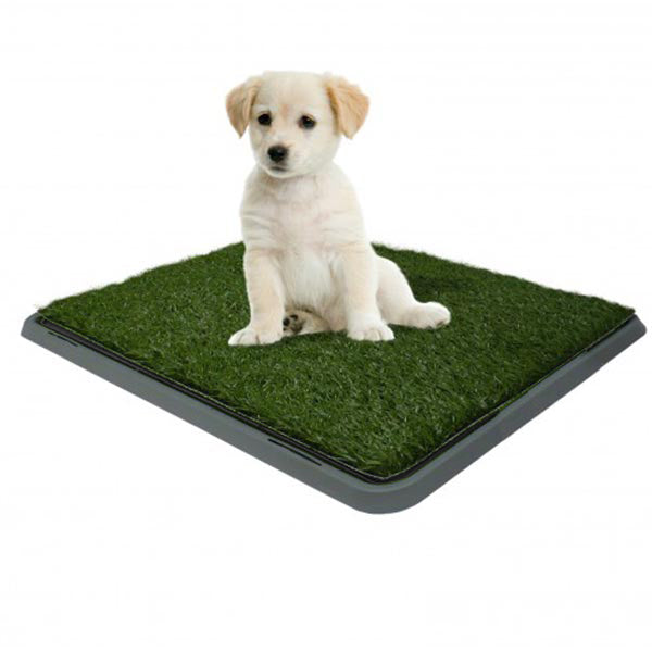 Dog Potty Patch 40cm x 50cm – Calasca