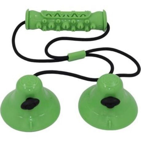 Rex - Suction Cup Dog Chew Toy - Green