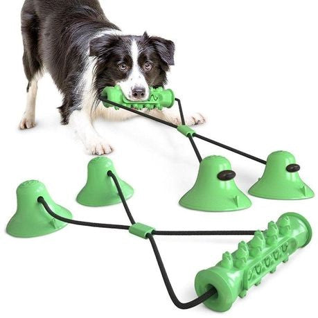 Rex - Suction Cup Dog Chew Toy - Green
