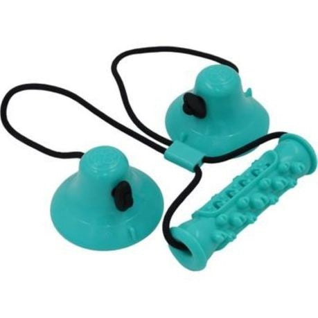 Rex - Suction Cup Dog Chew Toy - Blue
